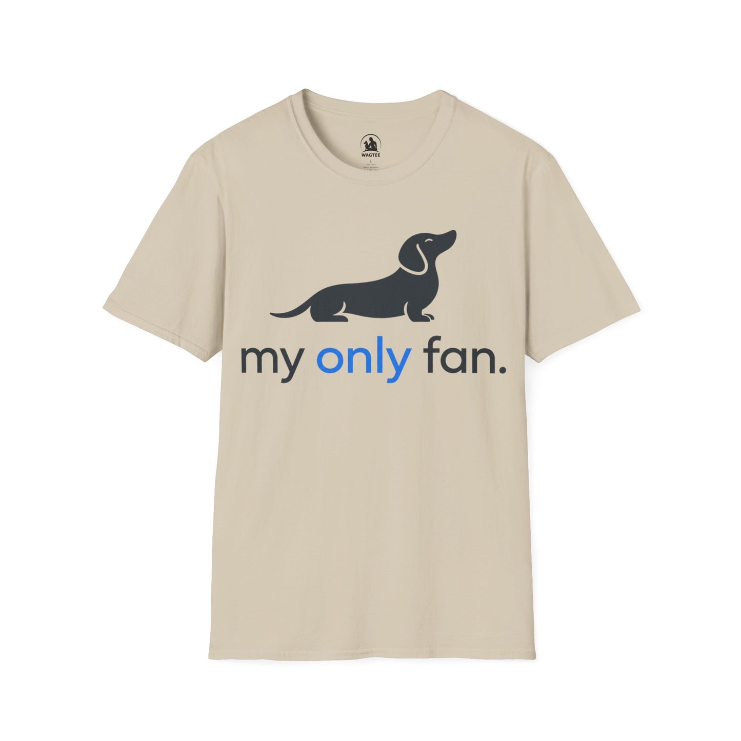 My only fan dachshund