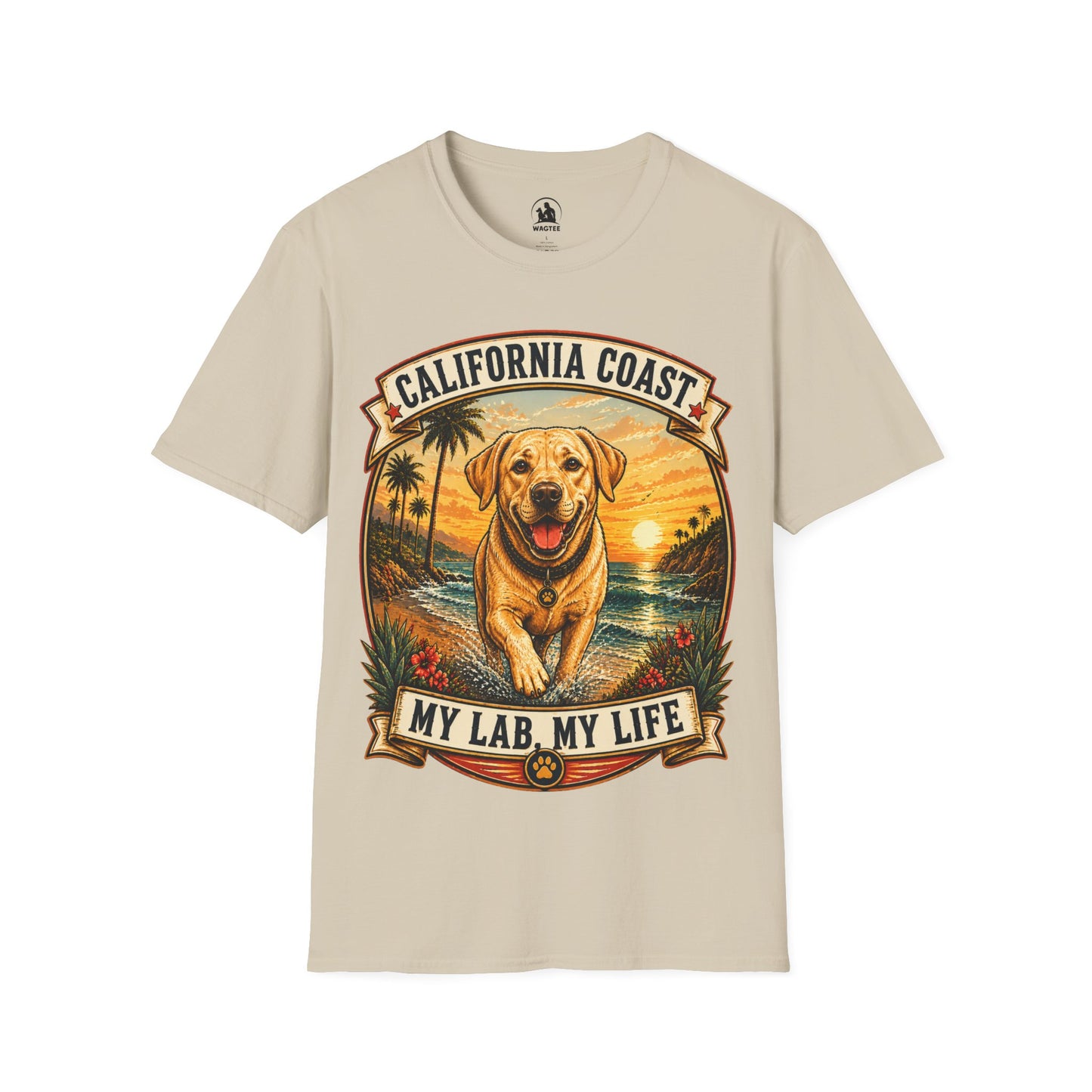 California coast, my lab my life