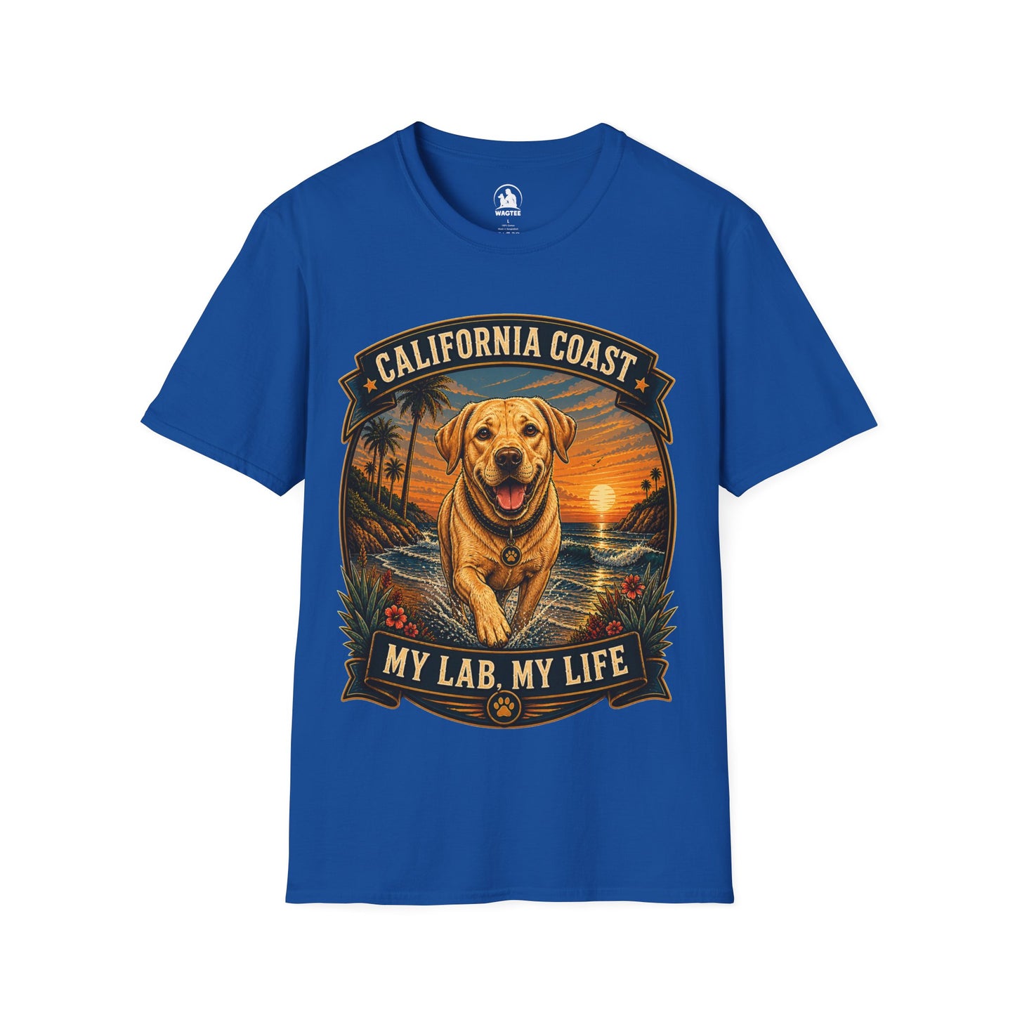 California coast, my lab my life