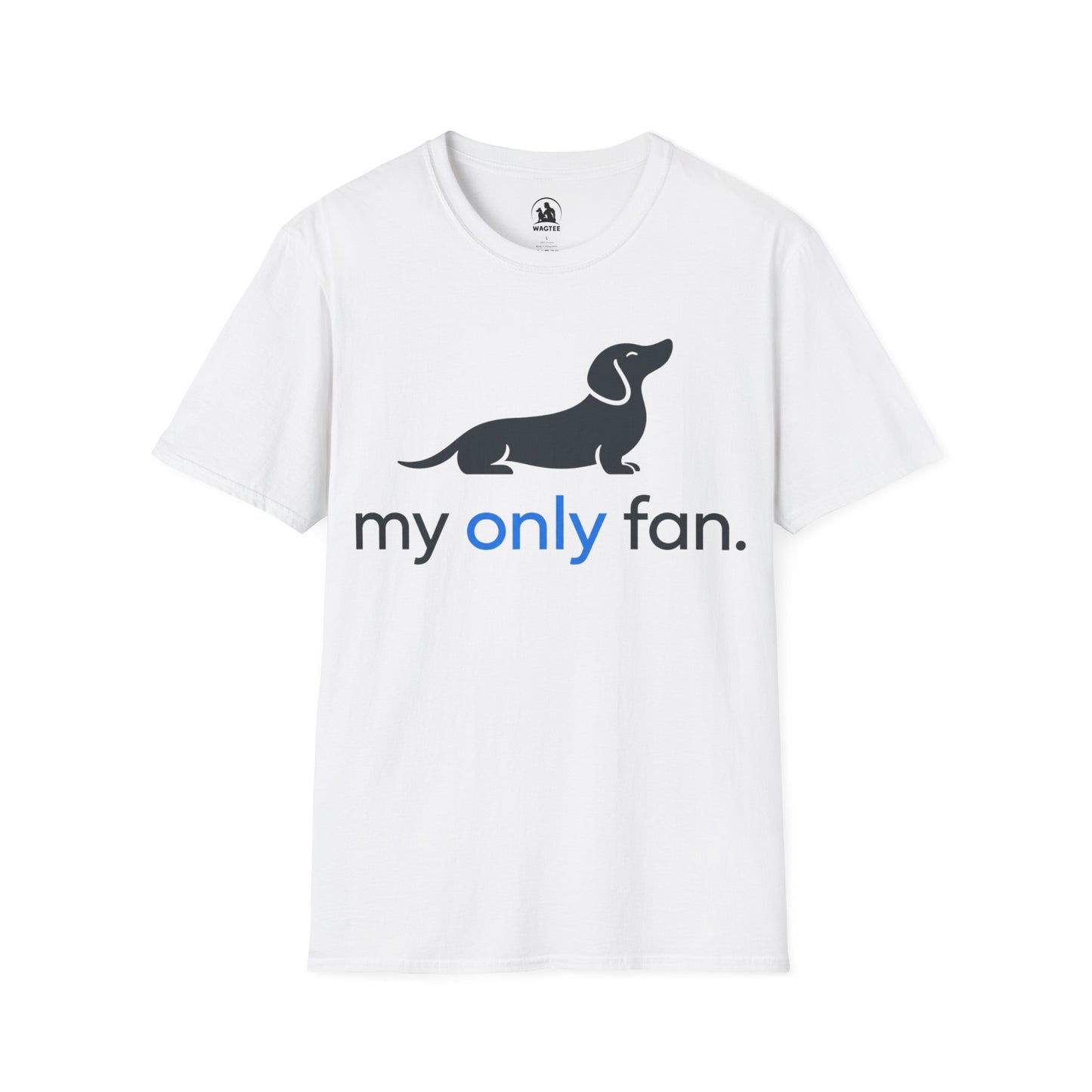 My only fan dachshund