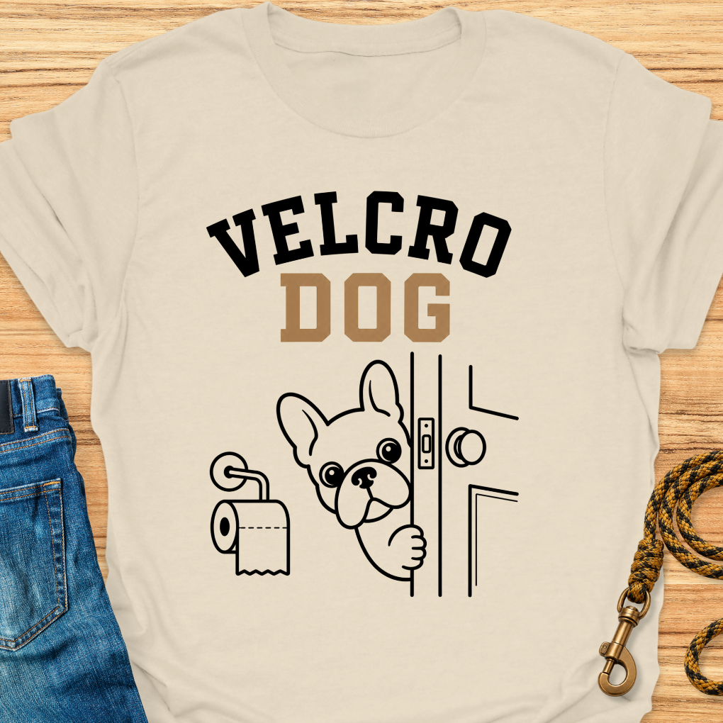 Frenchie velcro dog