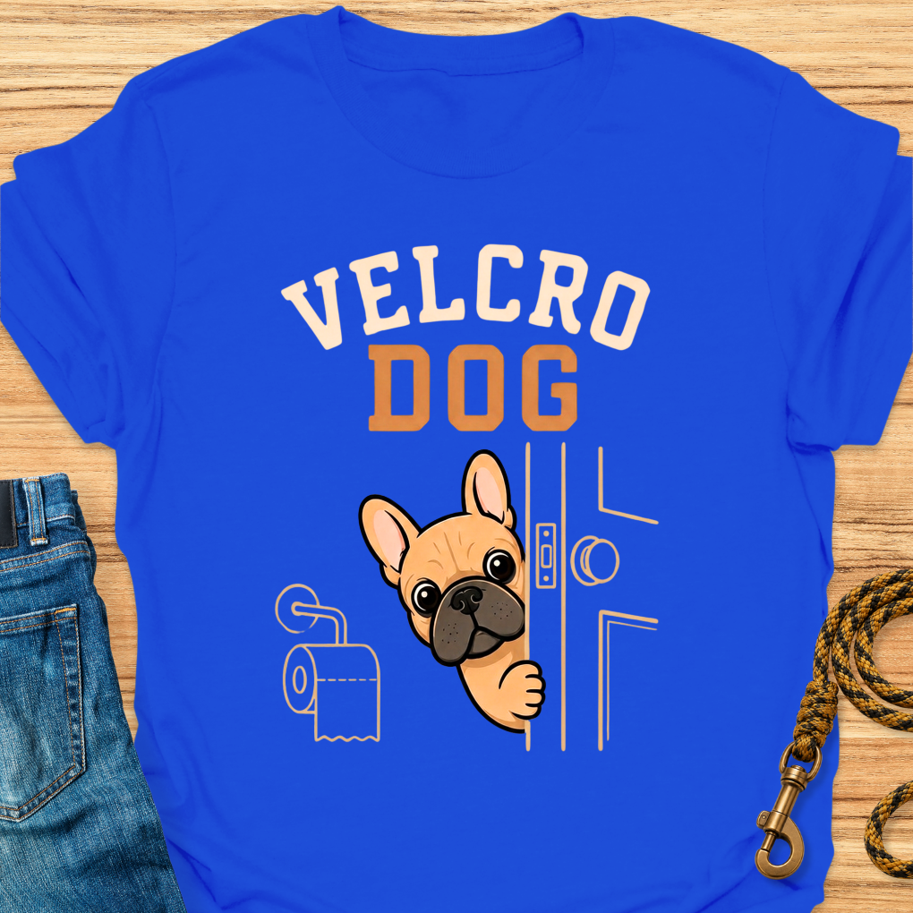 Frenchie velcro dog
