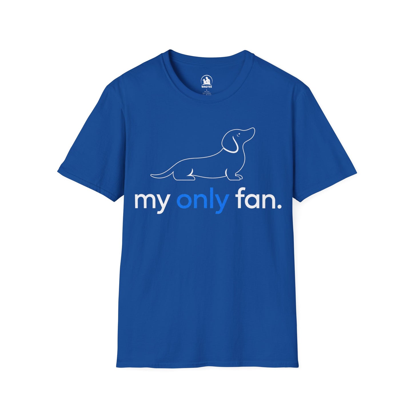 My only fan dachshund