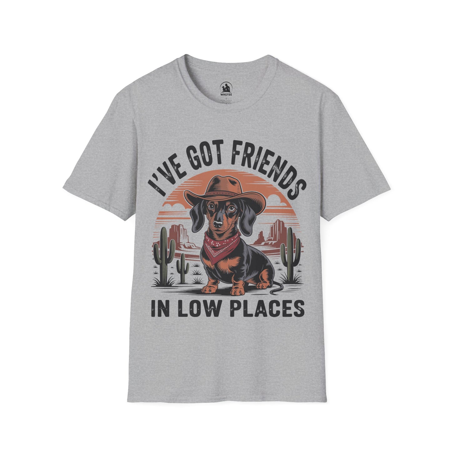 I've got friends in low places