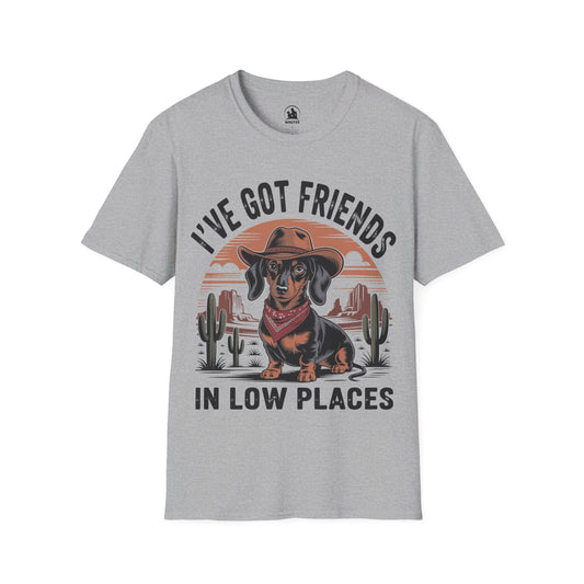 I've got friends in low places
