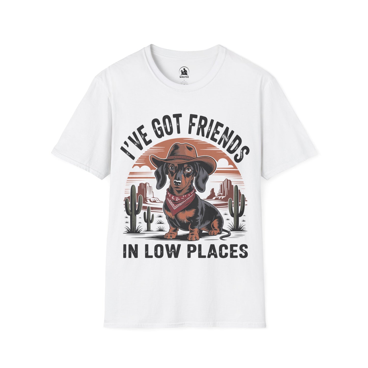 I've got friends in low places